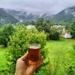 Qafqaz Villa Garden Gabala